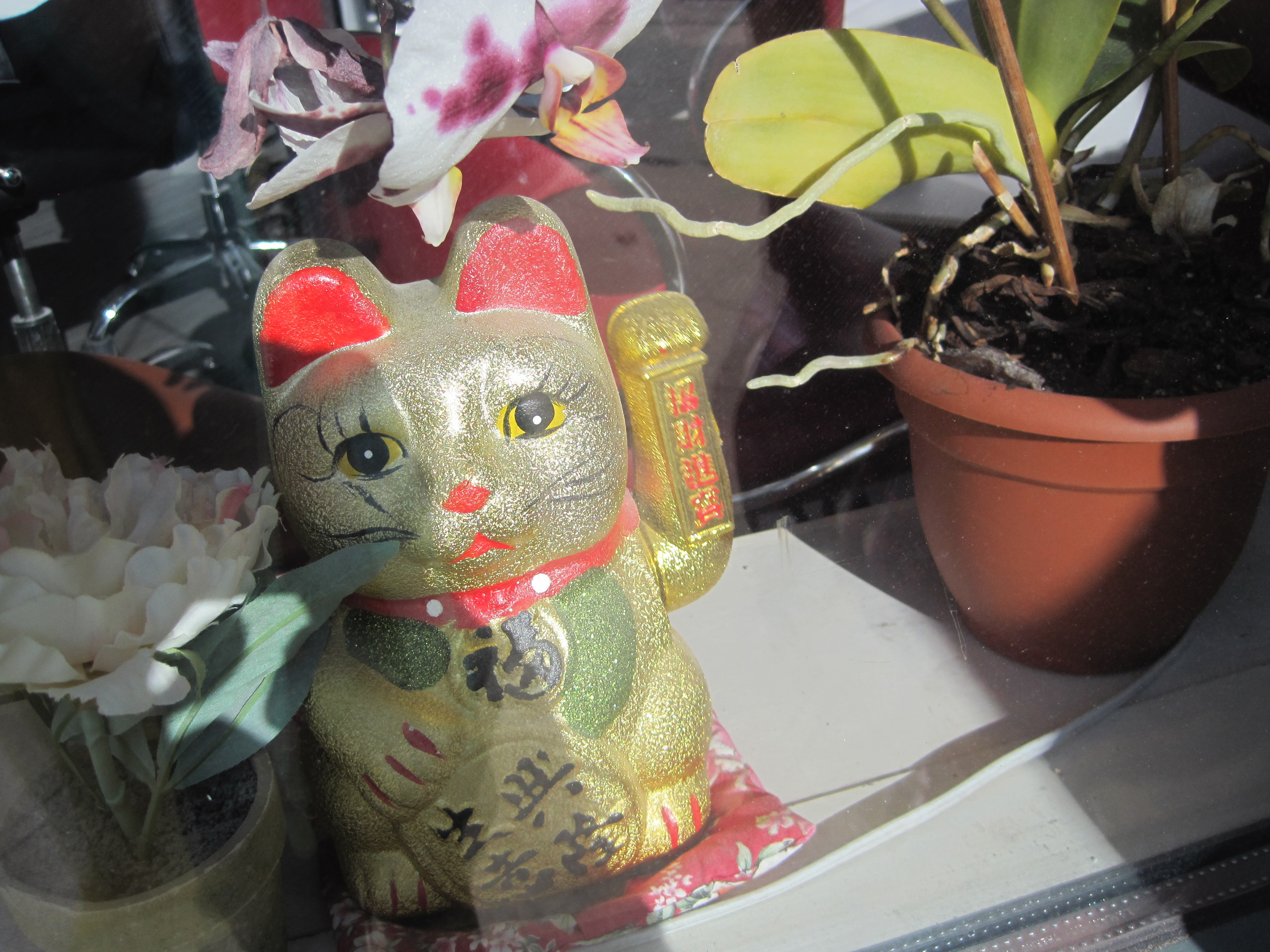 Fig.7 - lucky cat saying hello