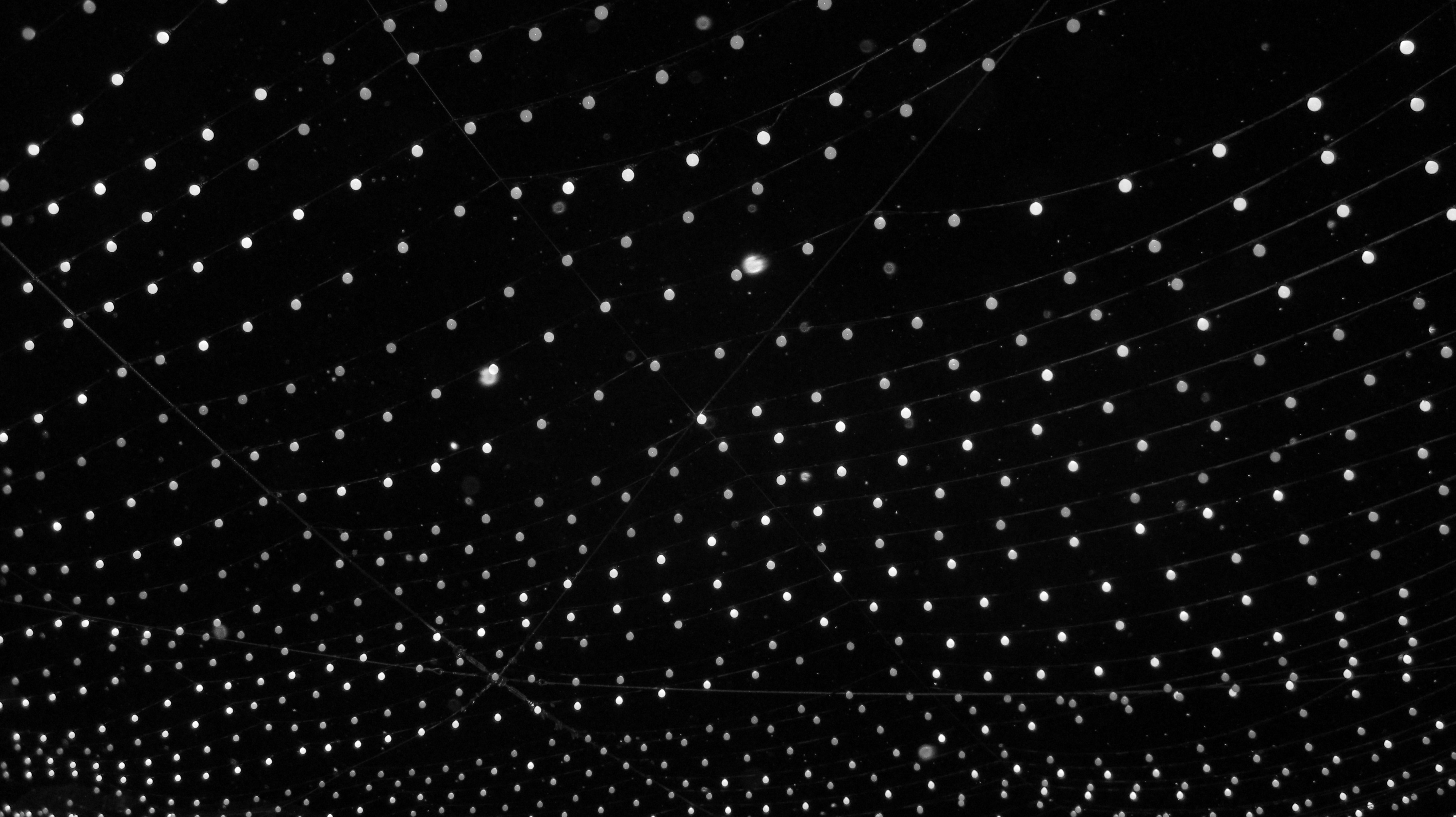 Fig.5 - out front of pony boat winter 2024