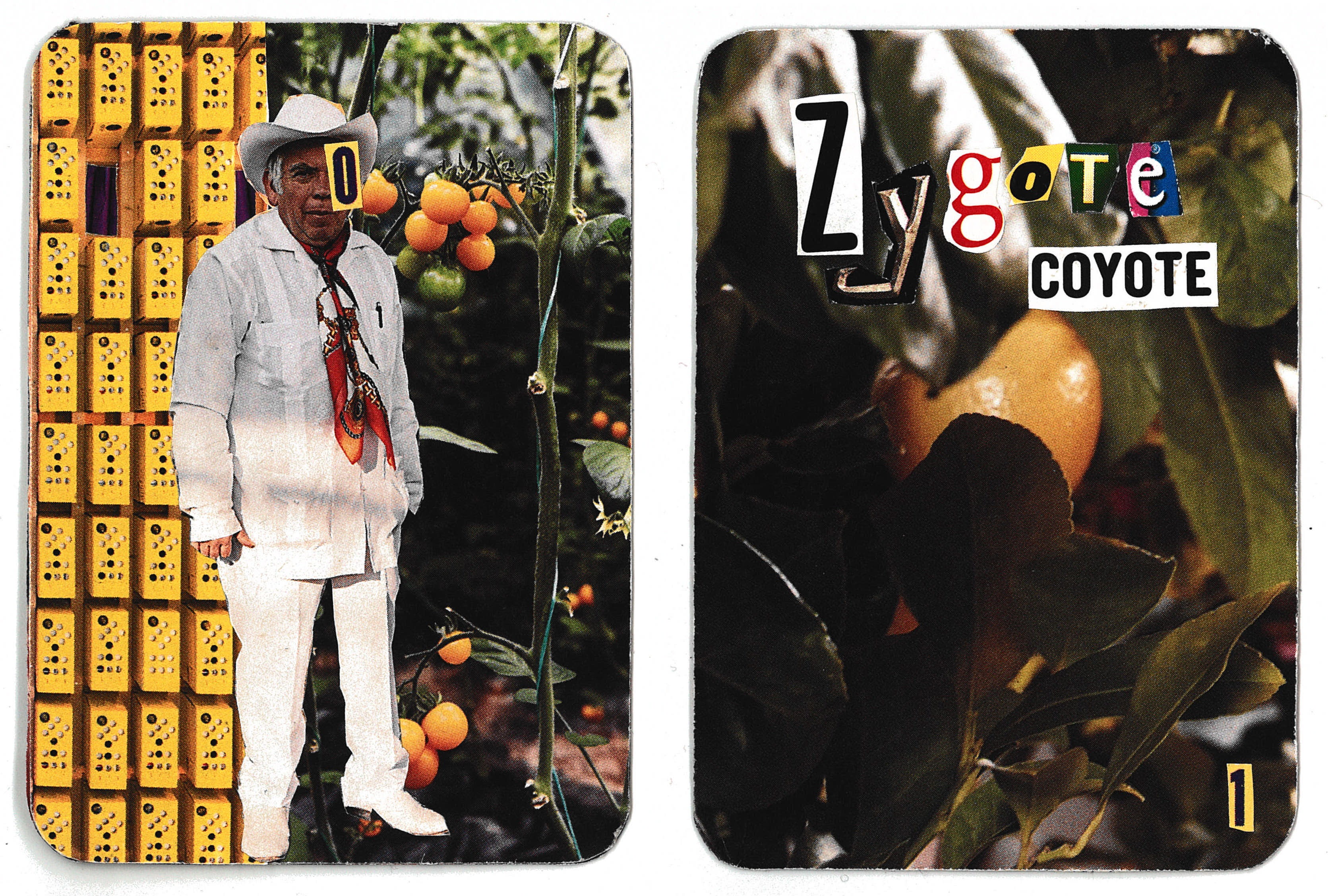 card.1 – the collector