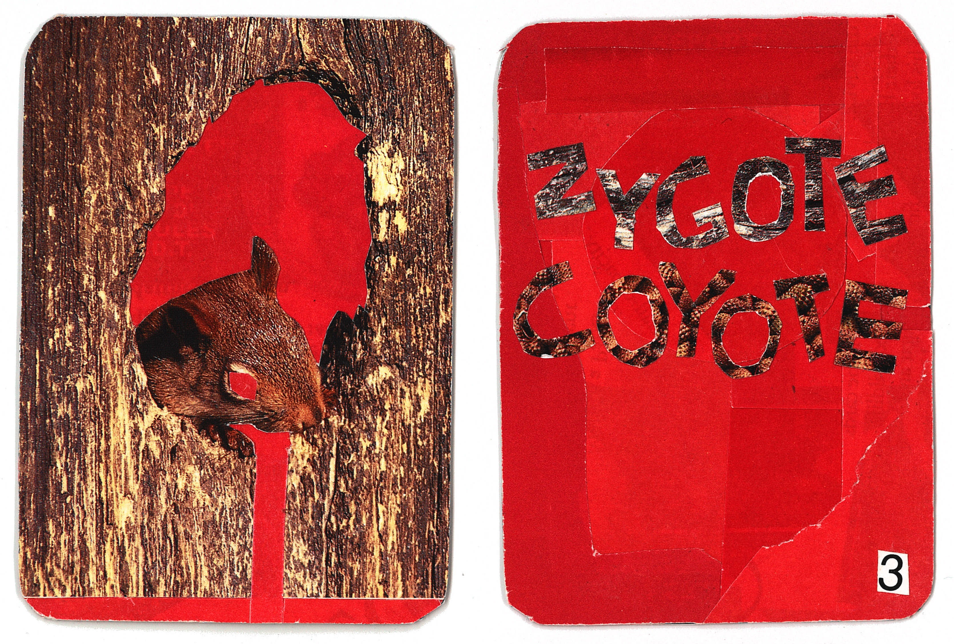 card.3 – blood squirrel