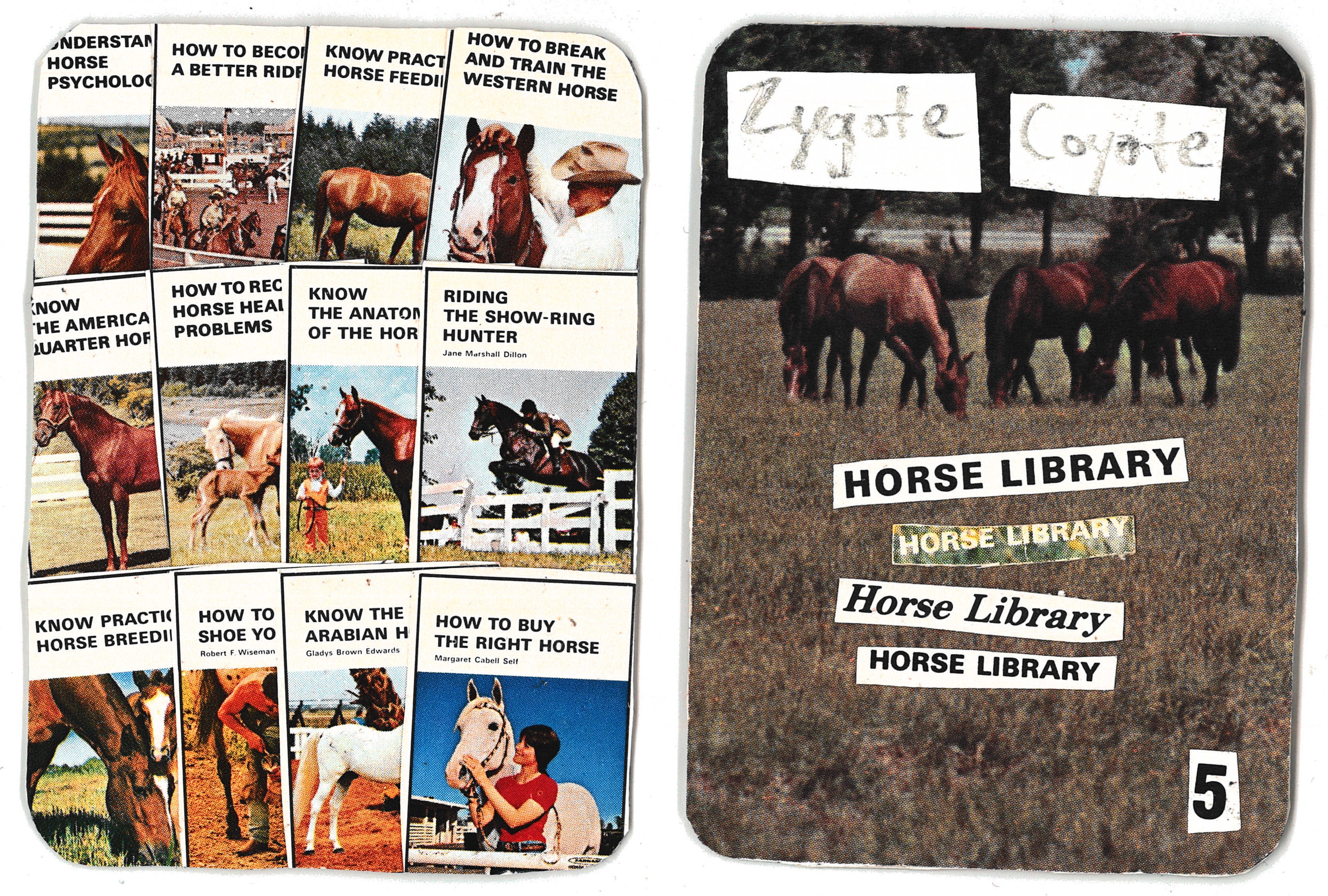 card.5 – horse library