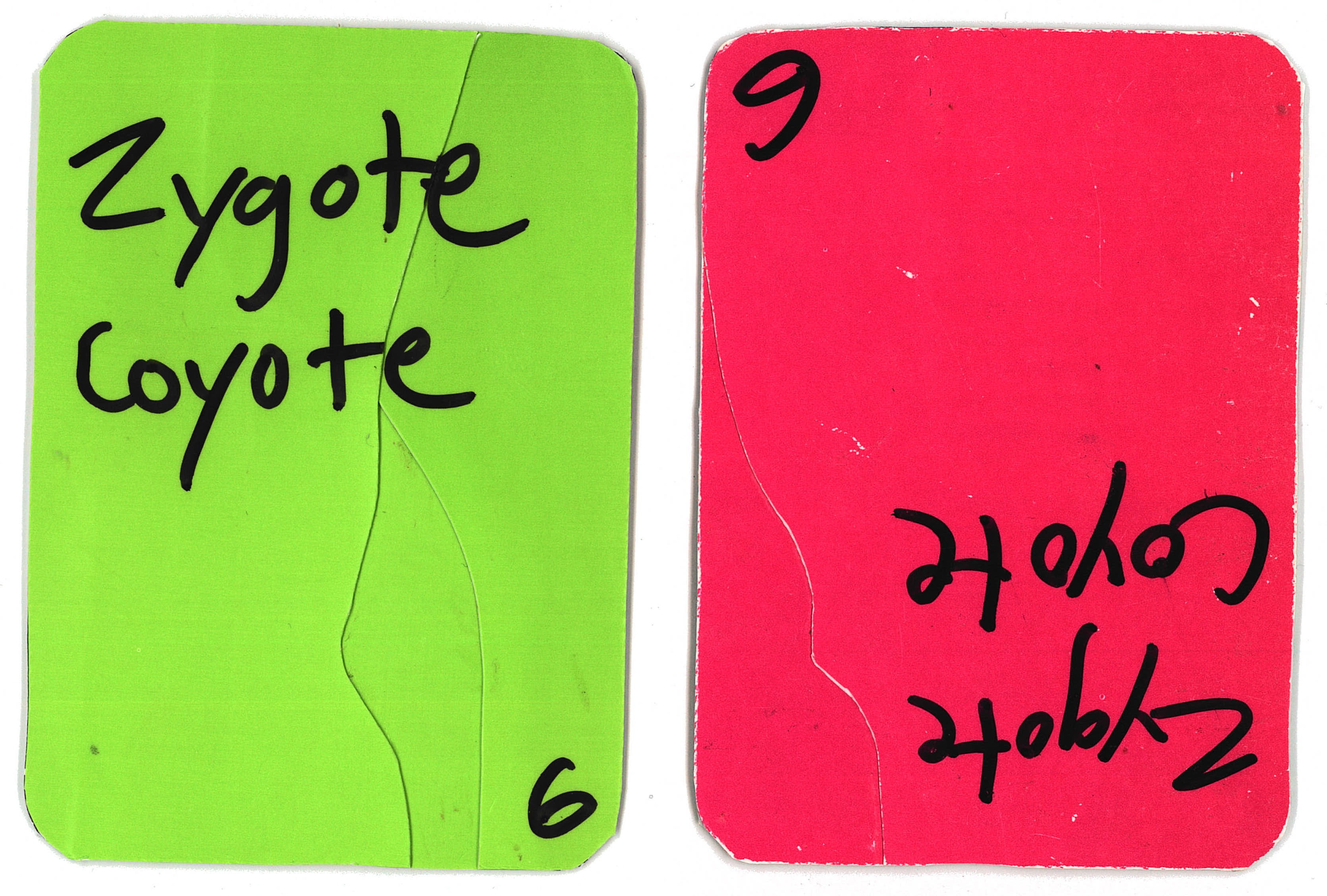 card.6 – green/pink